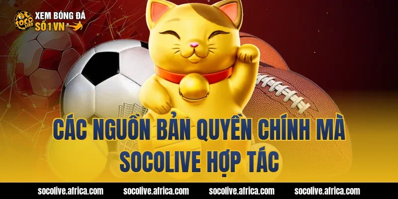 Các nguồn bản quyền chính mà Socolive hợp tác
