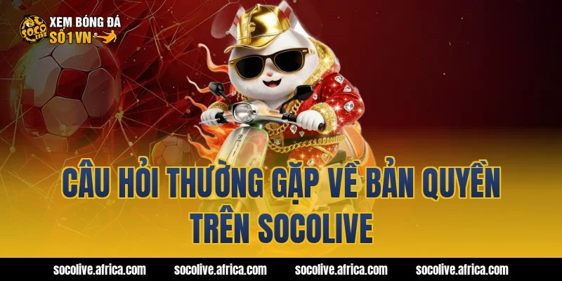 Câu hỏi thường gặp về bản quyền trên Socolive
