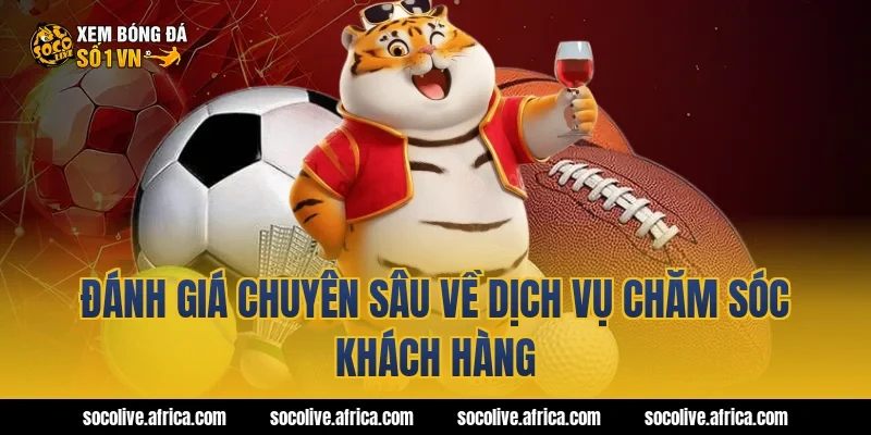 Đánh giá chuyên sâu về dịch vụ chăm sóc khách hàng