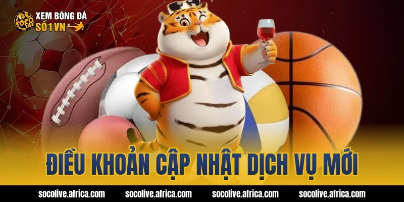 Điều khoản cập nhật dịch vụ mới