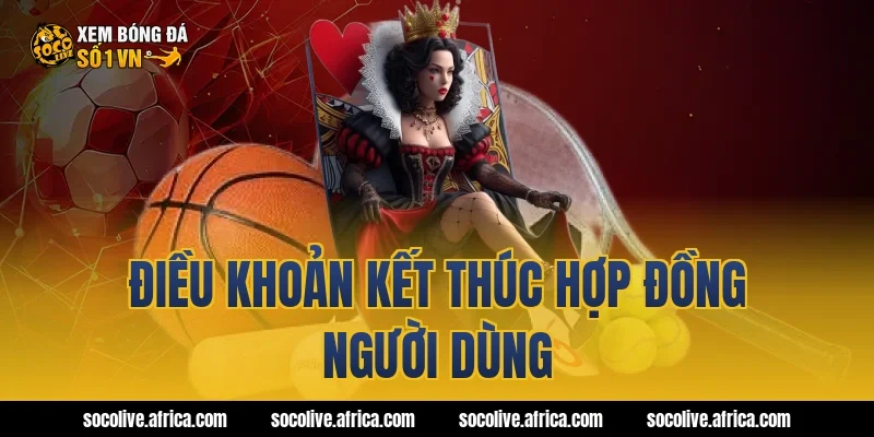 Điều khoản kết thúc hợp đồng người dùng