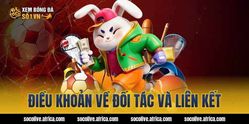 Điều khoản về đối tác và liên kết