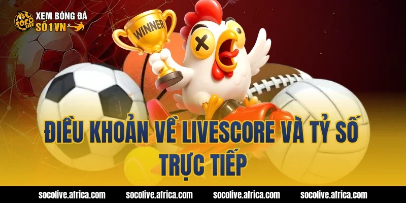 Điều khoản về livescore và tỷ số trực tiếp