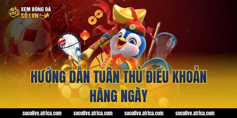Hướng dẫn tuân thủ điều khoản hàng ngày