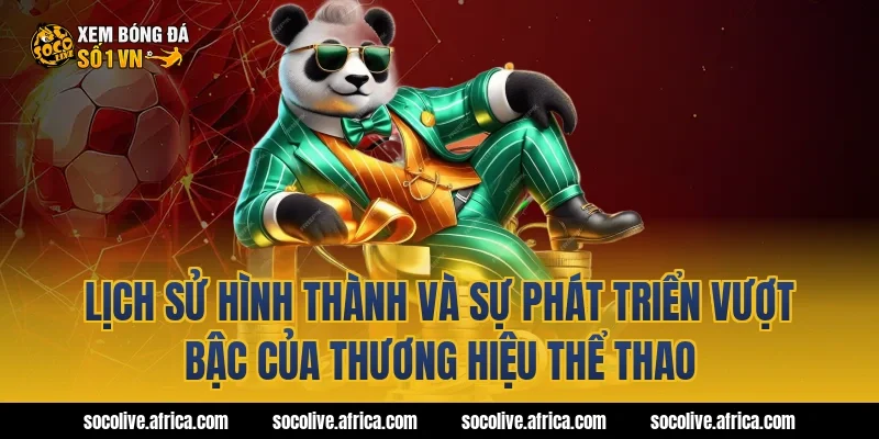 Lịch sử hình thành và sự phát triển vượt bậc của thương hiệu thể thao