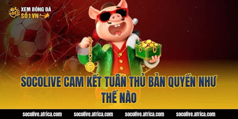 Socolive cam kết tuân thủ bản quyền như thế nào