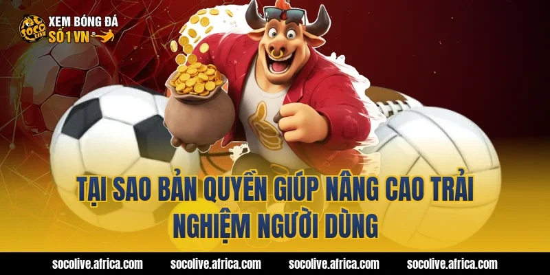 Tại sao bản quyền giúp nâng cao trải nghiệm người dùng
