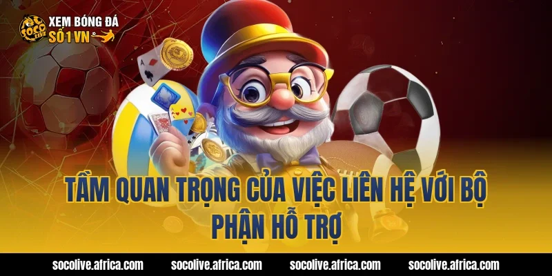 Tầm quan trọng của việc liên hệ với bộ phận hỗ trợ