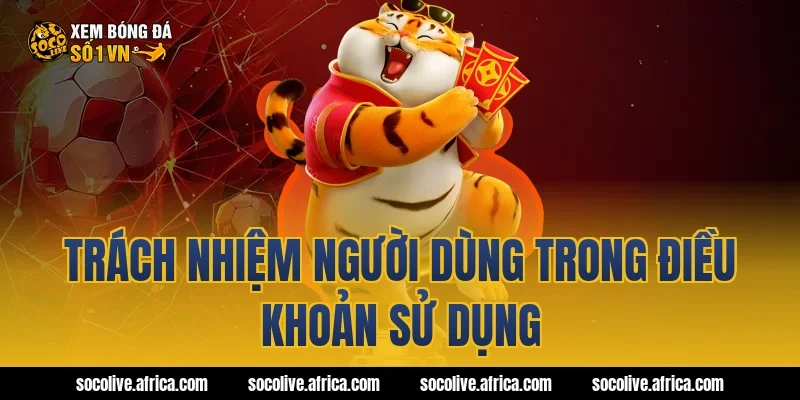 Trách nhiệm người dùng trong điều khoản sử dụng
