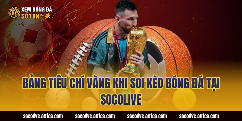 Bảng tiêu chí vàng khi soi kèo bóng đá tại Socolive