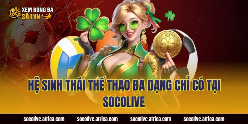 Hệ Sinh Thái Thể Thao Đa Dạng Chỉ Có Tại Socolive