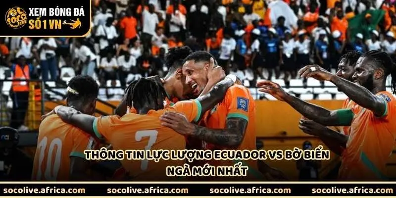 Thông tin lực lượng Ecuador vs Bờ Biển Ngà mới nhất